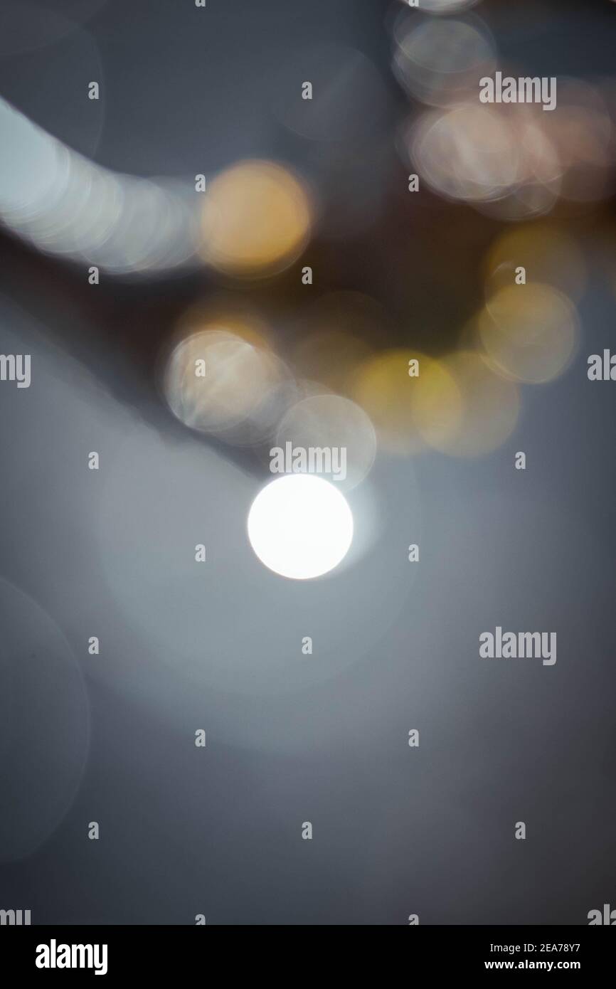 Beautiful shots of nature hi-res stock photography and images - Alamy