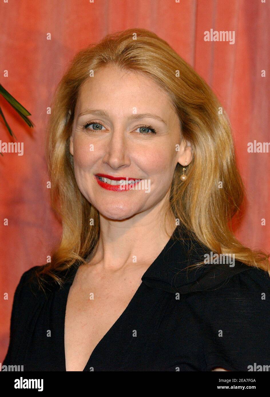 Patricia Clarkson attends the 76th Academy Awards Nominees Luncheon at the Beverly Hilton Hotel. Los Angeles, February 9, 2004. (Pictured: Patricia Clarkson). Photo by Lionel Hahn/Abaca. Stock Photo