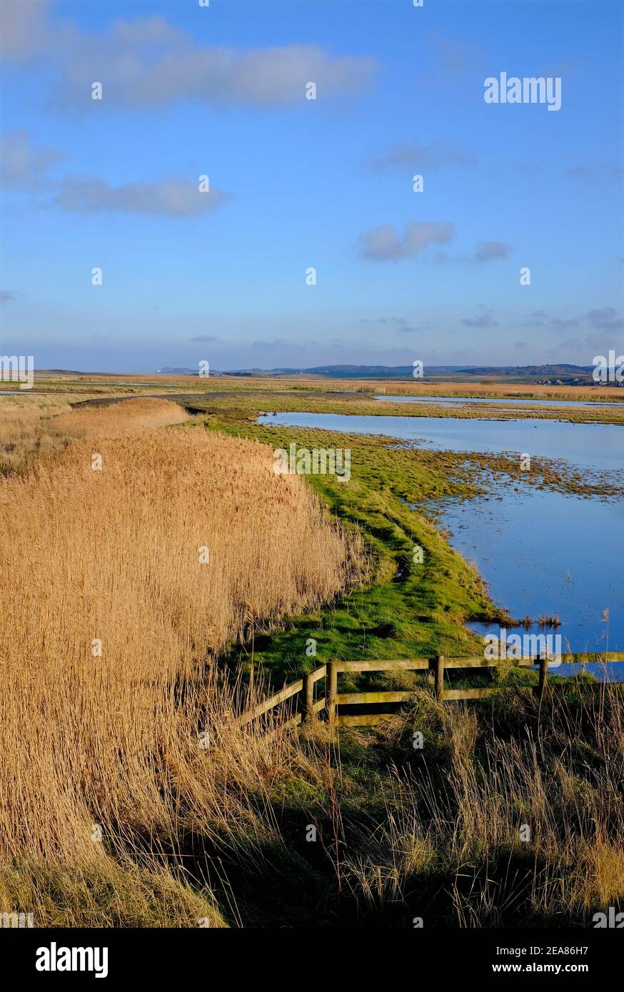 cley-next-the-sea, nature reserve, north norfolk, england Stock Photo