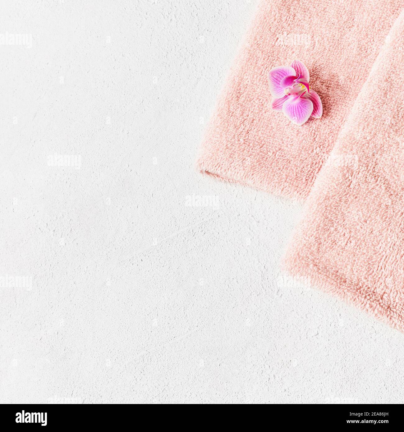 Rolled pink towel and pink orchid flower on white concrete background. Minimalist scandinavian style. SPA, hygiene concept Stock Photo