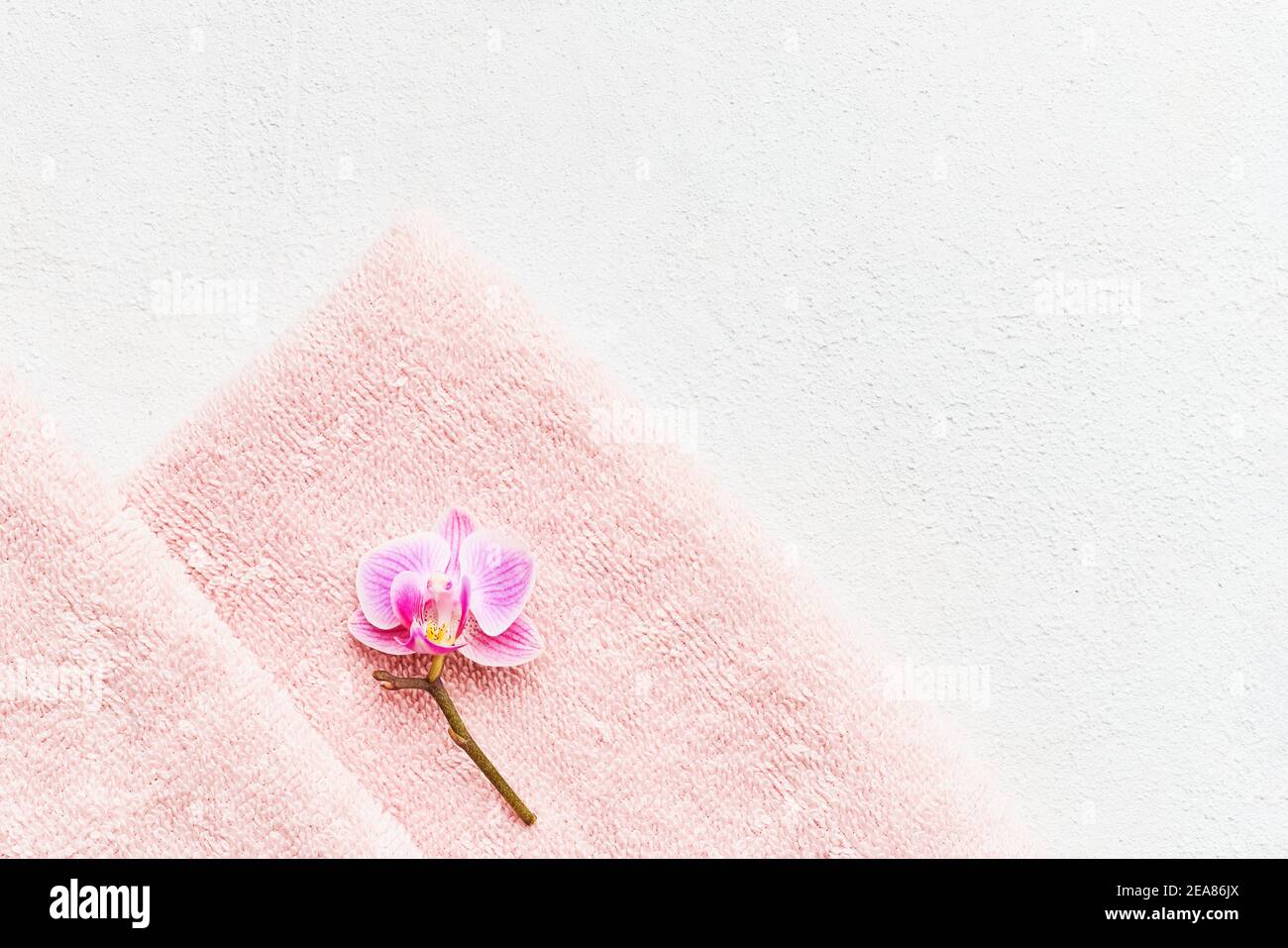 Rolled pink towel and orchid flower on white concrete background. Minimalist scandinavian style. SPA, hygiene, wellness well-being, body care concept. Stock Photo