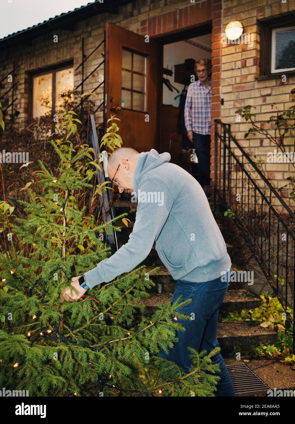 Middle aged man putting fairy lights on outdoor Christmas tree for elderly woman, Sweden. Concept of lifestlye, caring, celebration Stock Photo