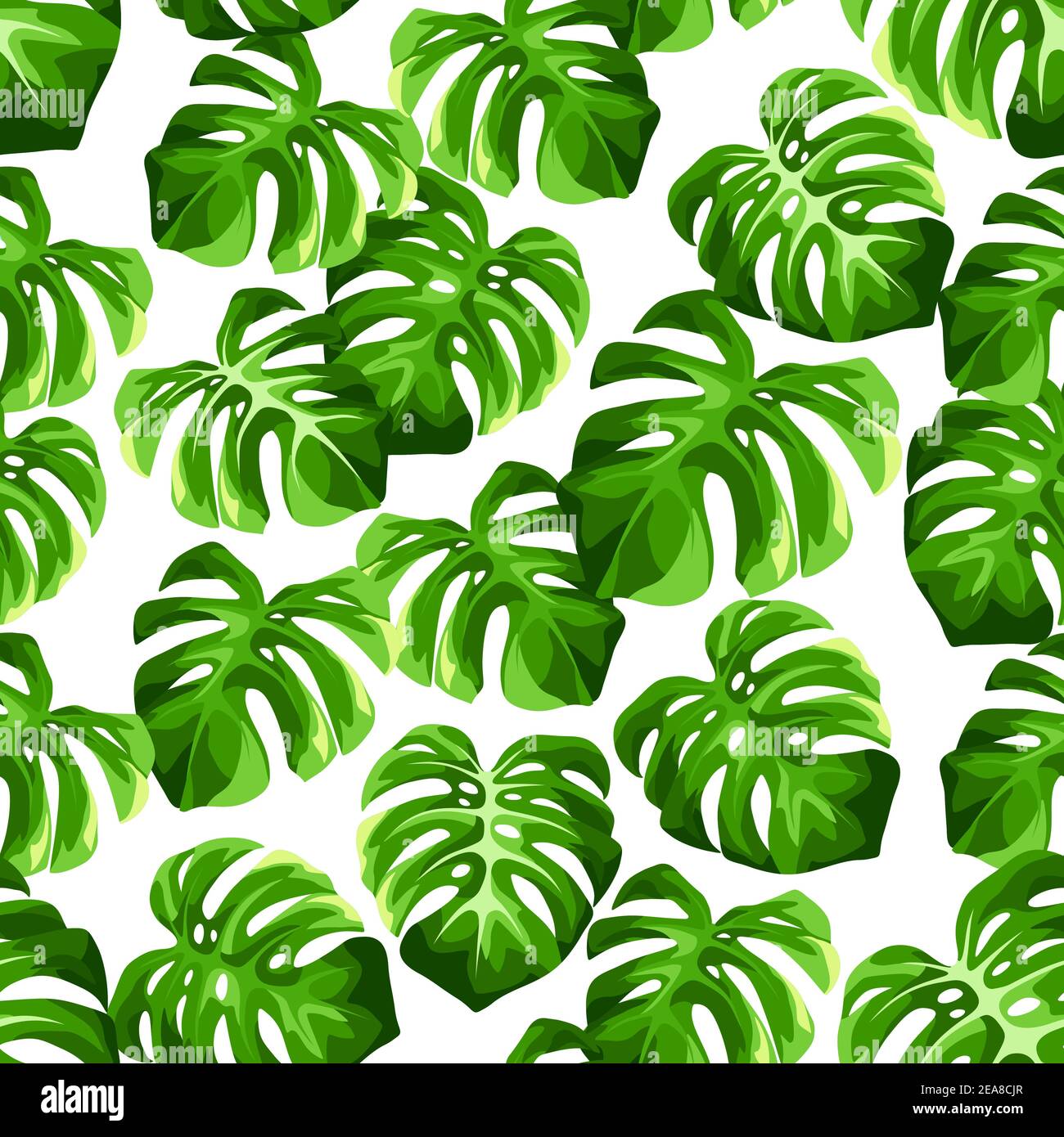 Vector tropical seamless pattern with green monstera leaves on a white ...