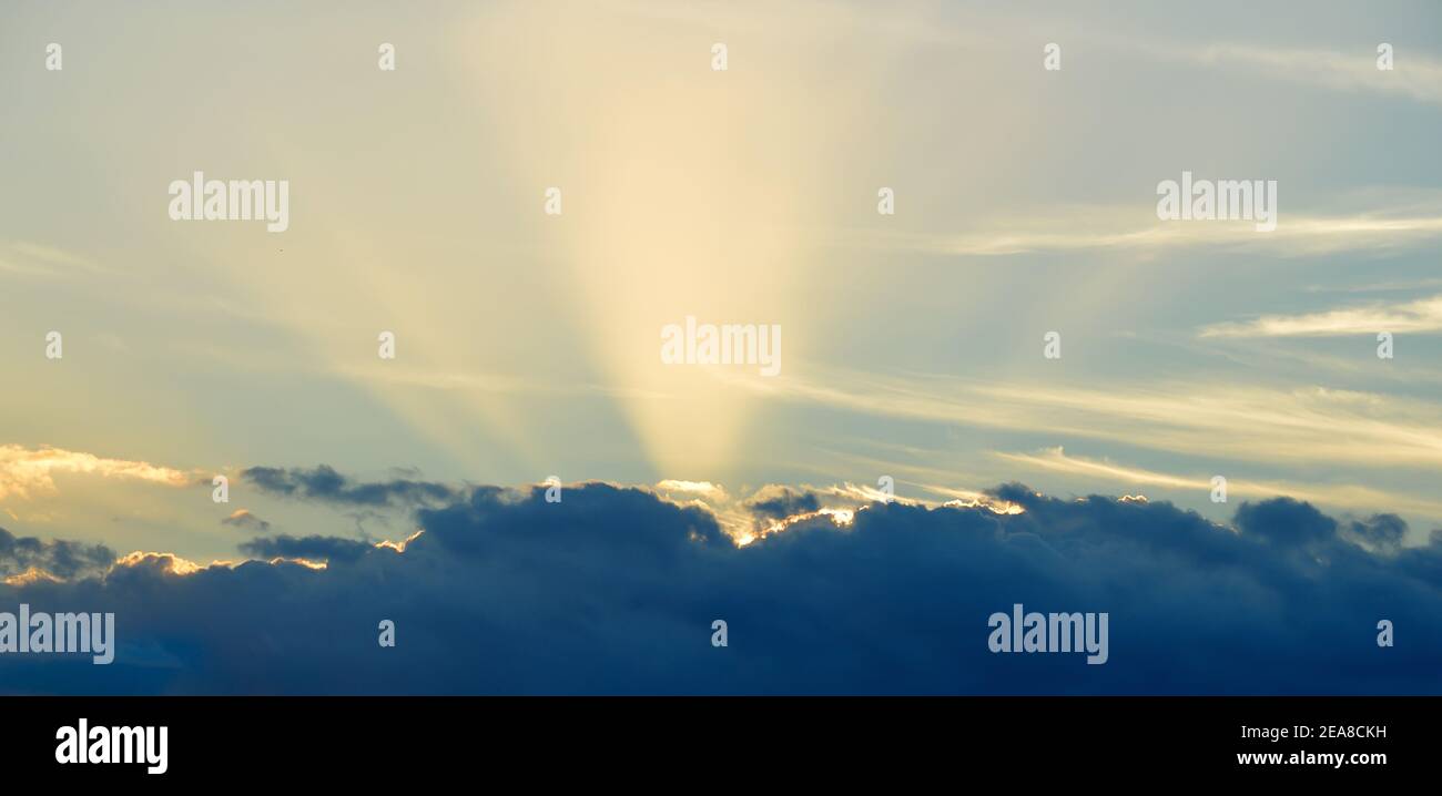 Shining yellow hi-res stock photography and images - Alamy