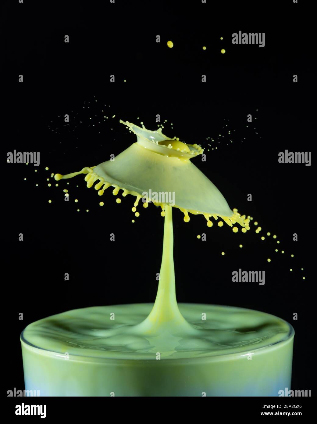 High speed shot of milk drops colliding and creating a splash in yellow and green Stock Photo