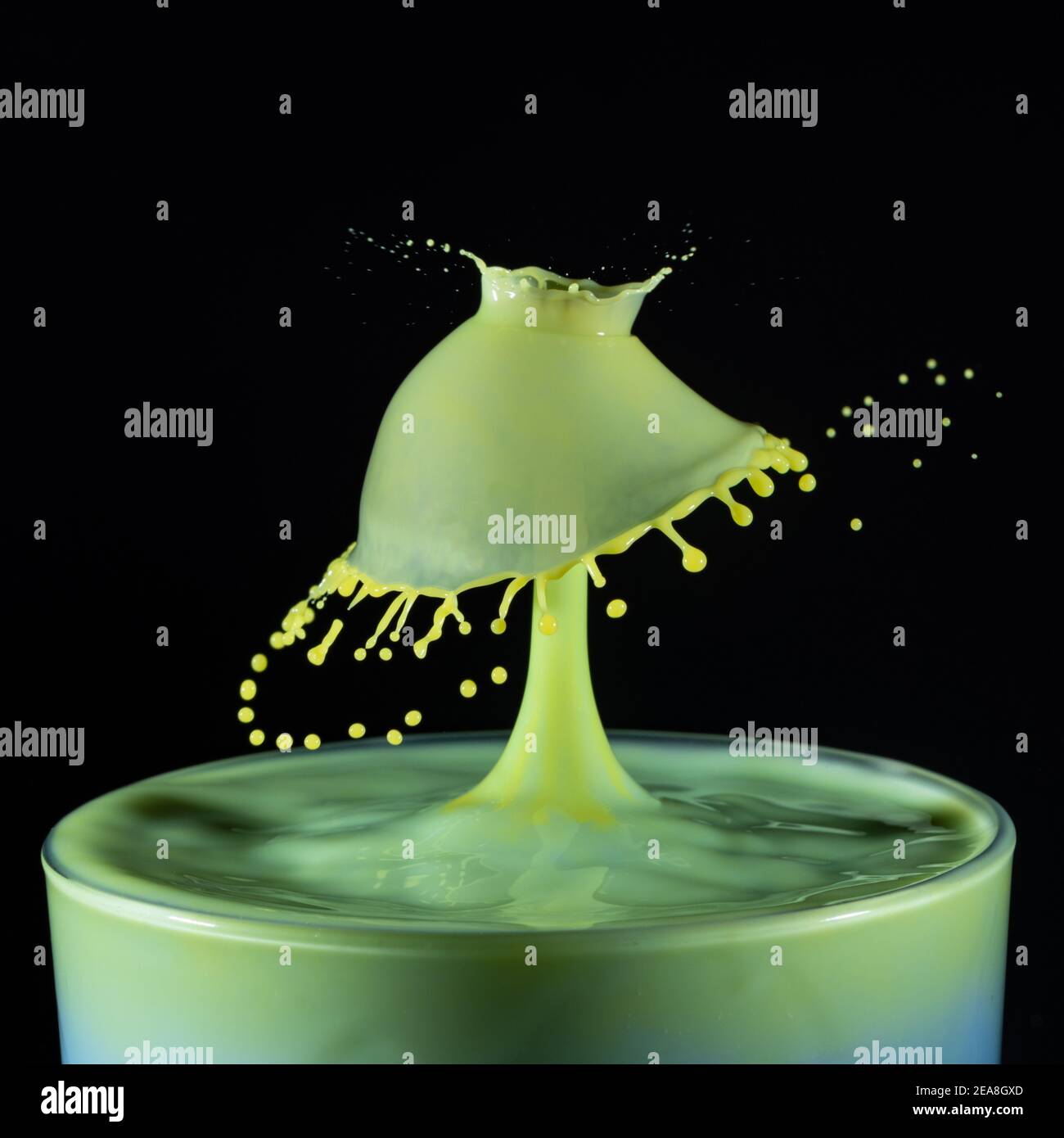 High speed shot of milk drops colliding and creating a splash in yellow and green Stock Photo