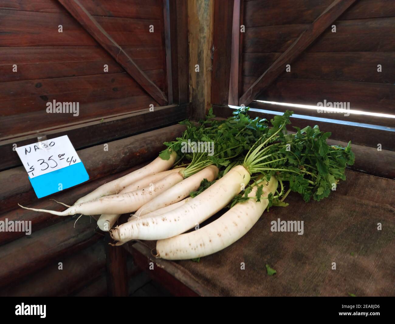 big healthy fleshy white turnips with green leaves on sale at the farmer market with copyspace
