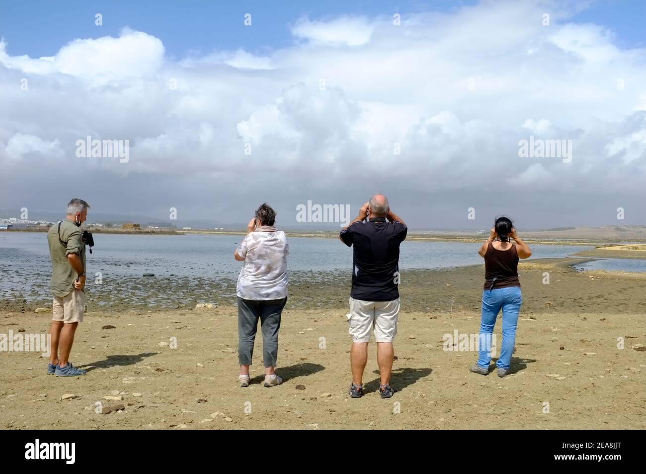 Birdwatchers looking at waders on Barbate Saltpans, Barbate, Cadiz Province, Andalucia , Spain Stock Photo