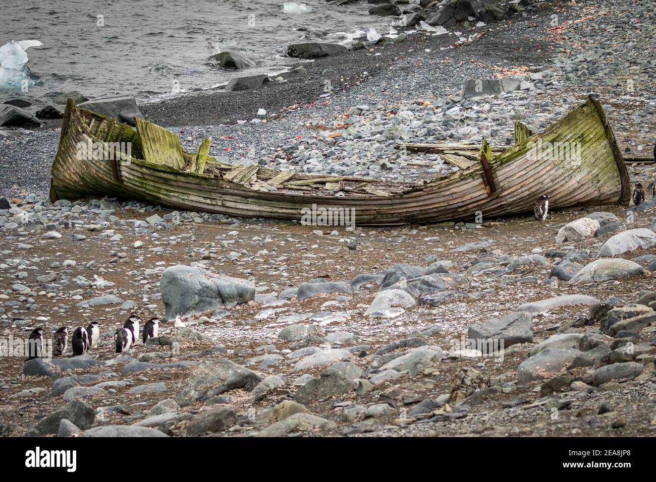 Whaling boat wreck, Half Moon Island, Antarctica Stock Photo