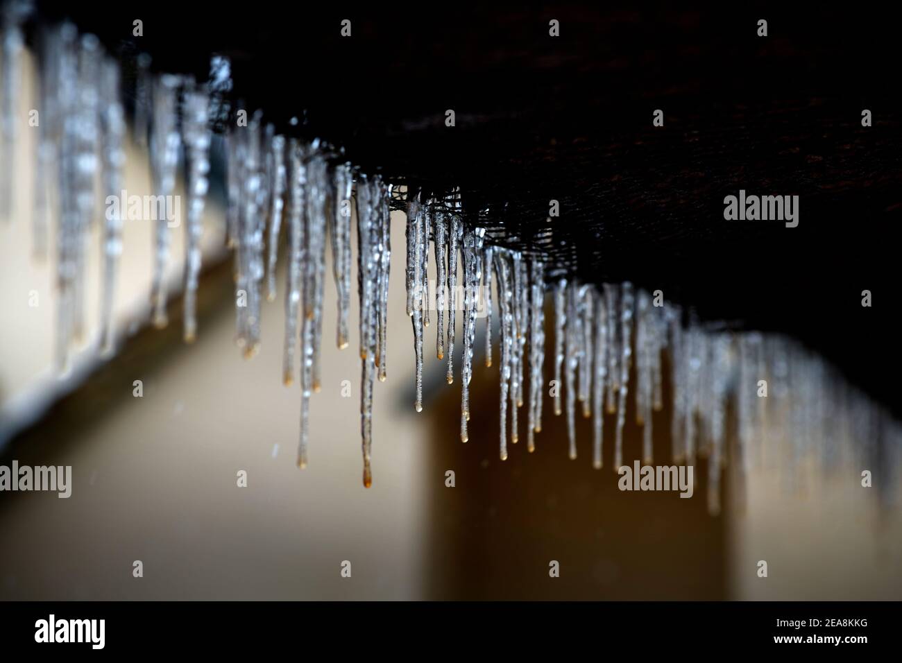 Thaxted Essex UK Snow conditions winter weather conditions 8 February 2021 Icicles Beast from the East II. Winter snow conditions hit eastern England Stock Photo