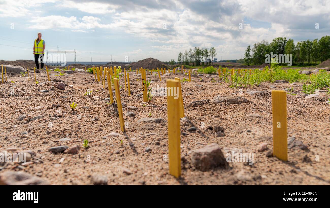 Soil Archeology High Resolution Stock Photography and Images - Alamy