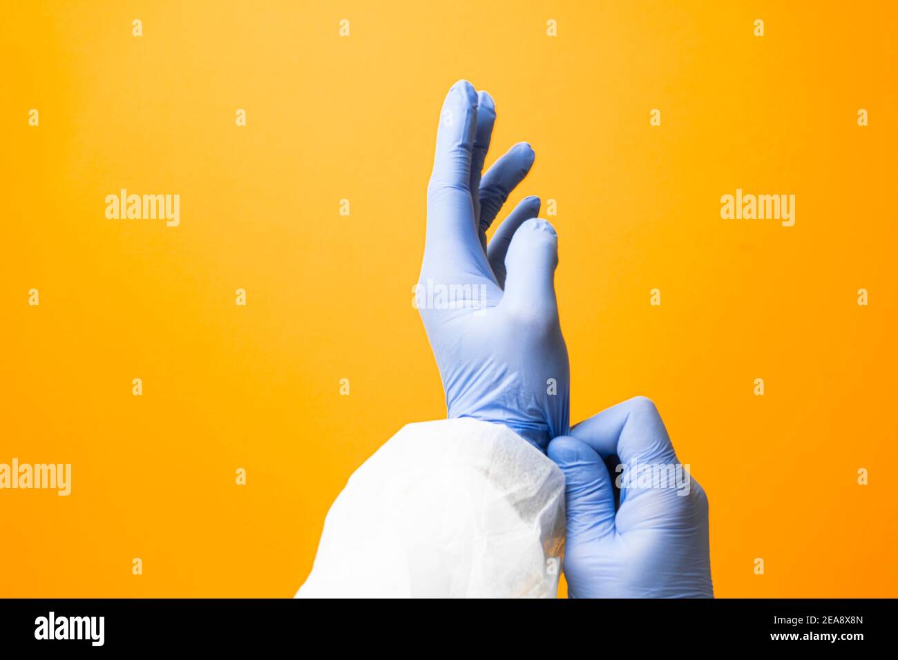 Doctor putting on blue latex medical gloves on yellow background Surgeon wearing gloves before surgery in operating room Infection control and risk co Stock Photo