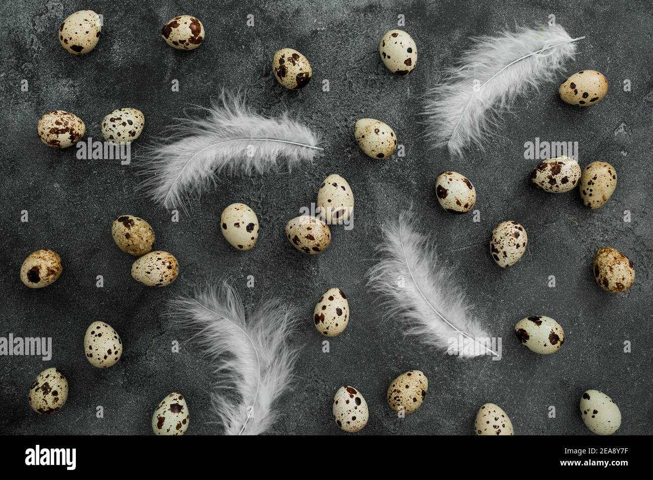 Stylish pattern with Easter eggs and feathers on dark background. Flat lay, Top view. Easter holiday concept. Stock Photo