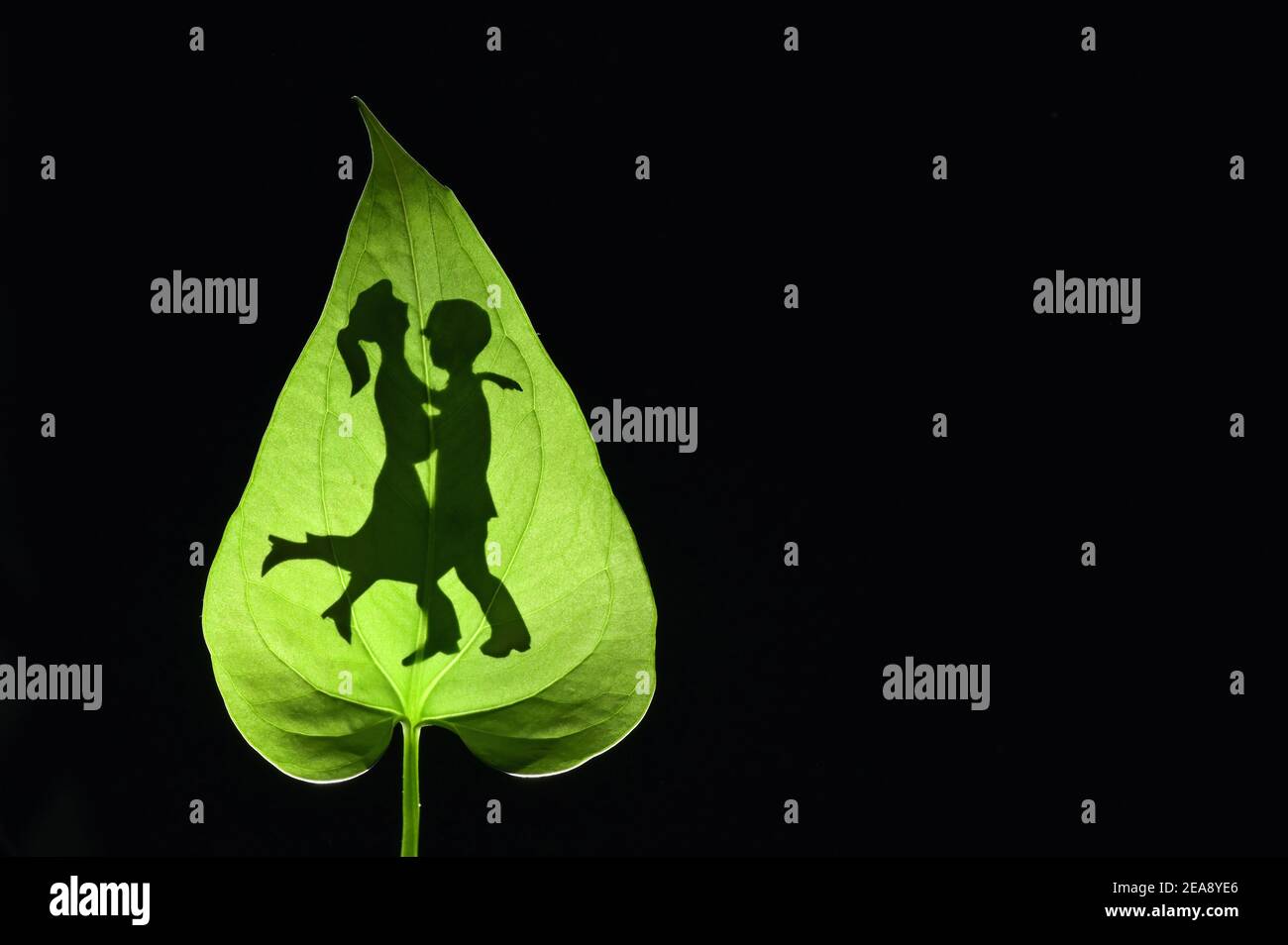 Conceptual Silhouette Of Romantic Couple Embracing behind a Leaf Stock ...