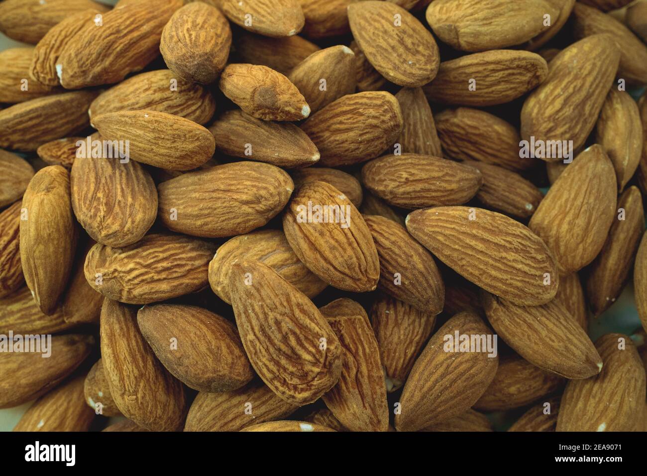 Fresh peeled almond texture background hires stock photography and