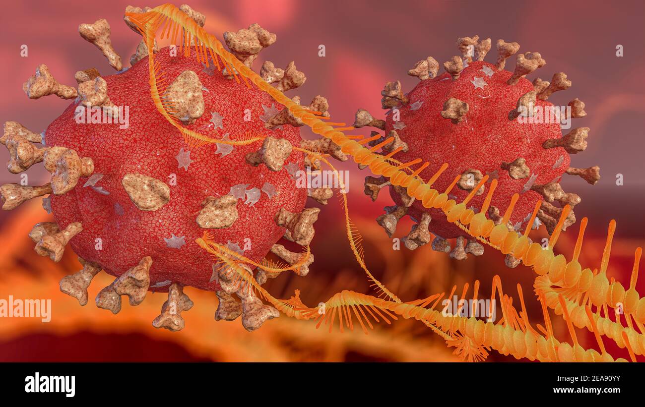 Mrna hi-res stock photography and images - Alamy