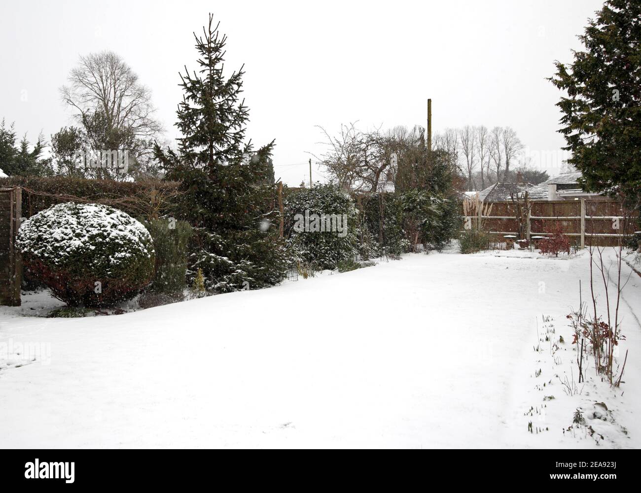 A view of a snow covered English back garden after a period of