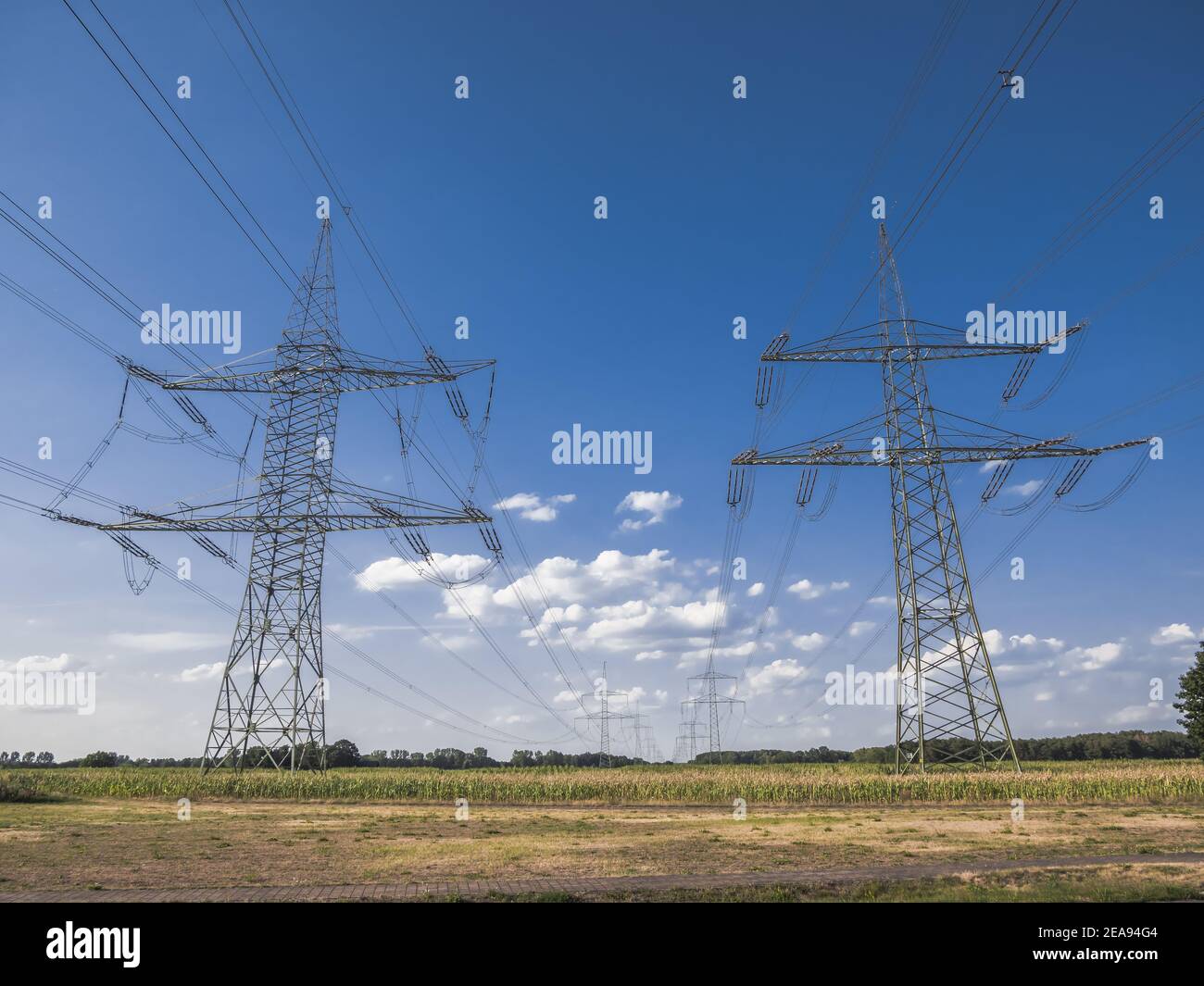 High voltage pylons in Germany Stock Photo