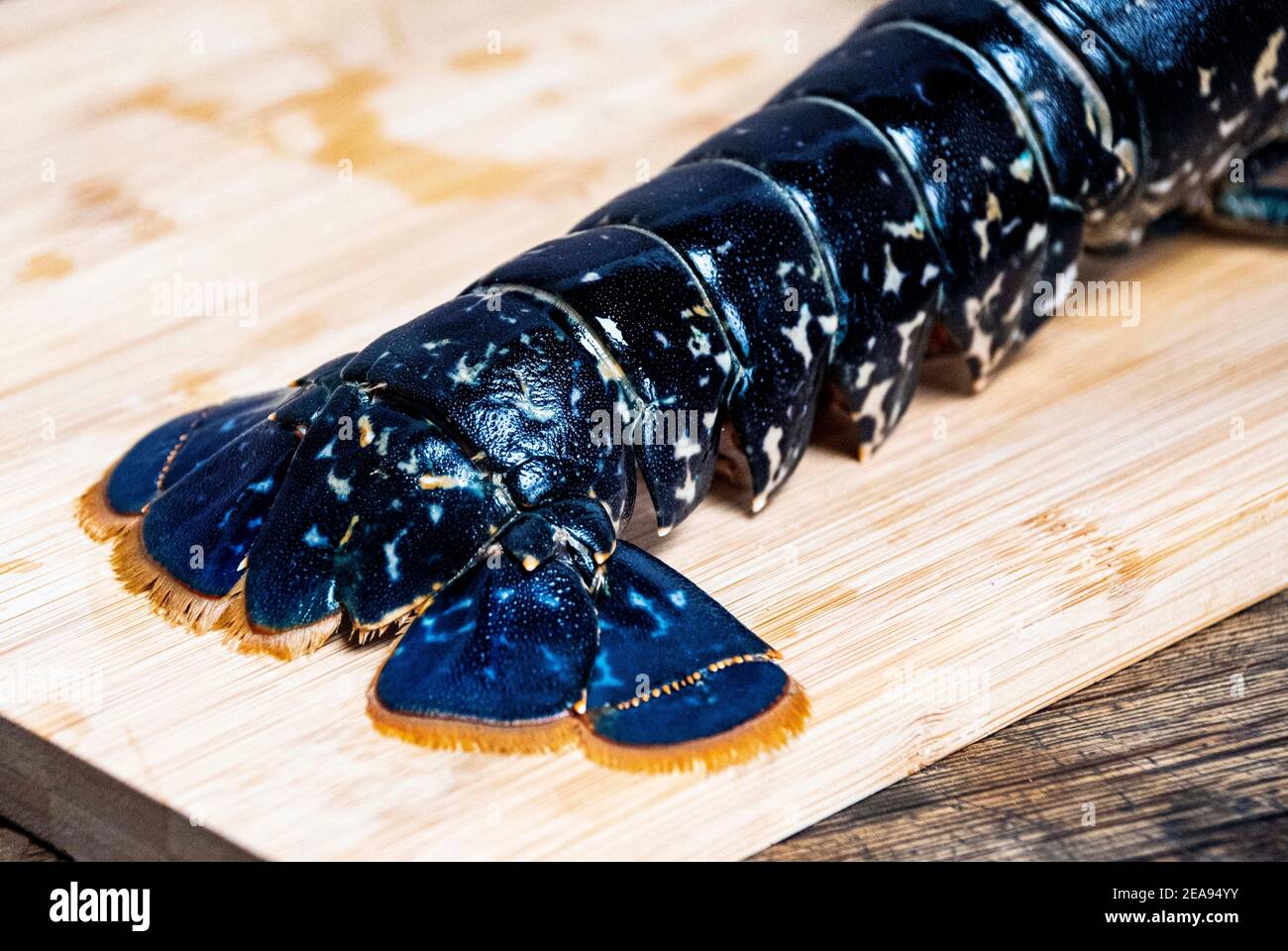 Fresh Lobster   on a  wooden board raw  lobster Stock Photo