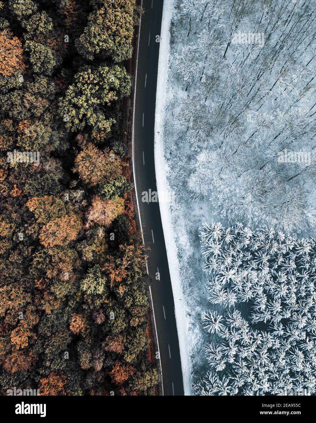 Vertical shot road forests hi-res stock photography and images - Alamy