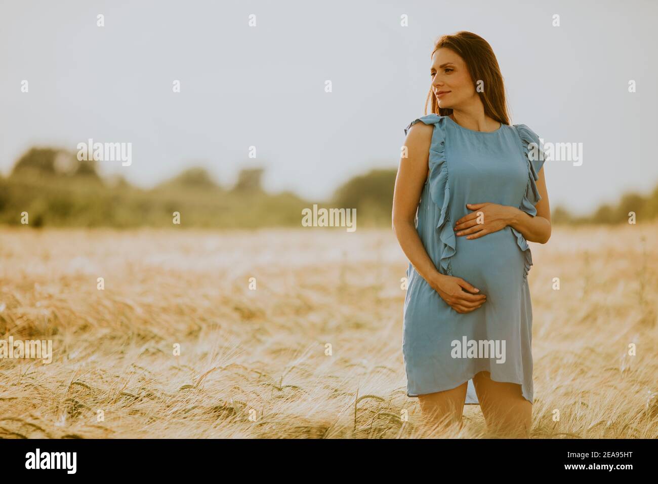 Pretty young pregnant woman in blue dress relaxing outside in nature at ...