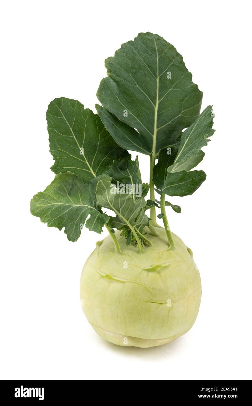 Fresh Cabbage turnip isolated on white background Stock Photo