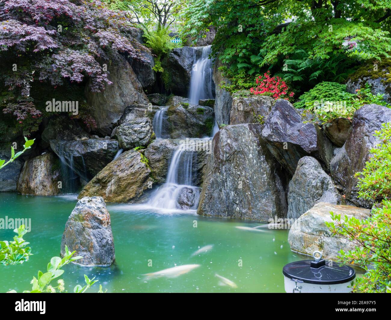 Japanese garden in Interlaken Stock Photo Alamy