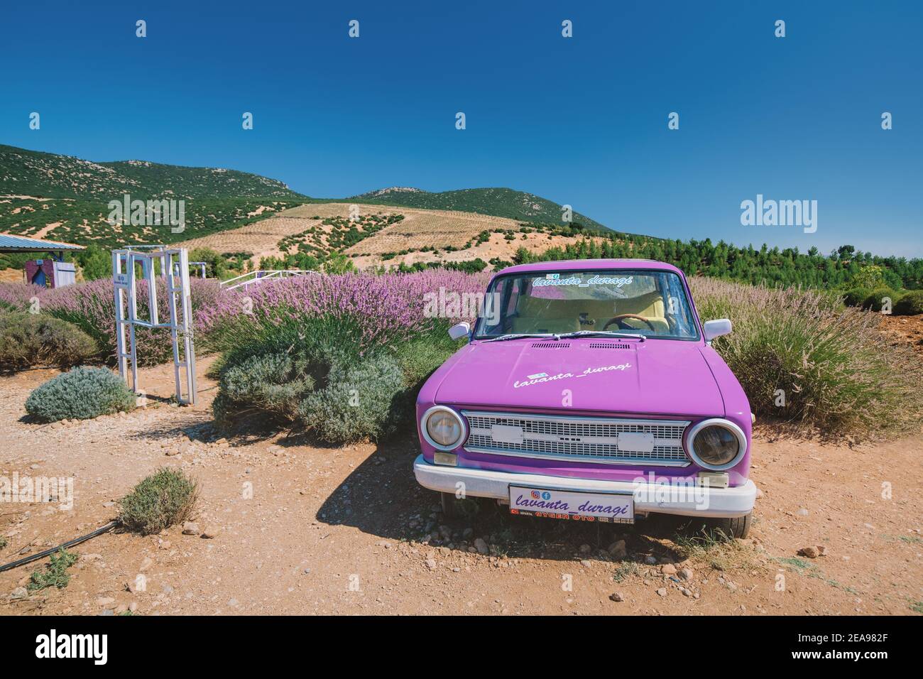 07 September 2020, Isparta, Turkey: Decorative car and swing in the middle of a lavender field. Outdoor photo shooting spot for selfies and social net Stock Photo