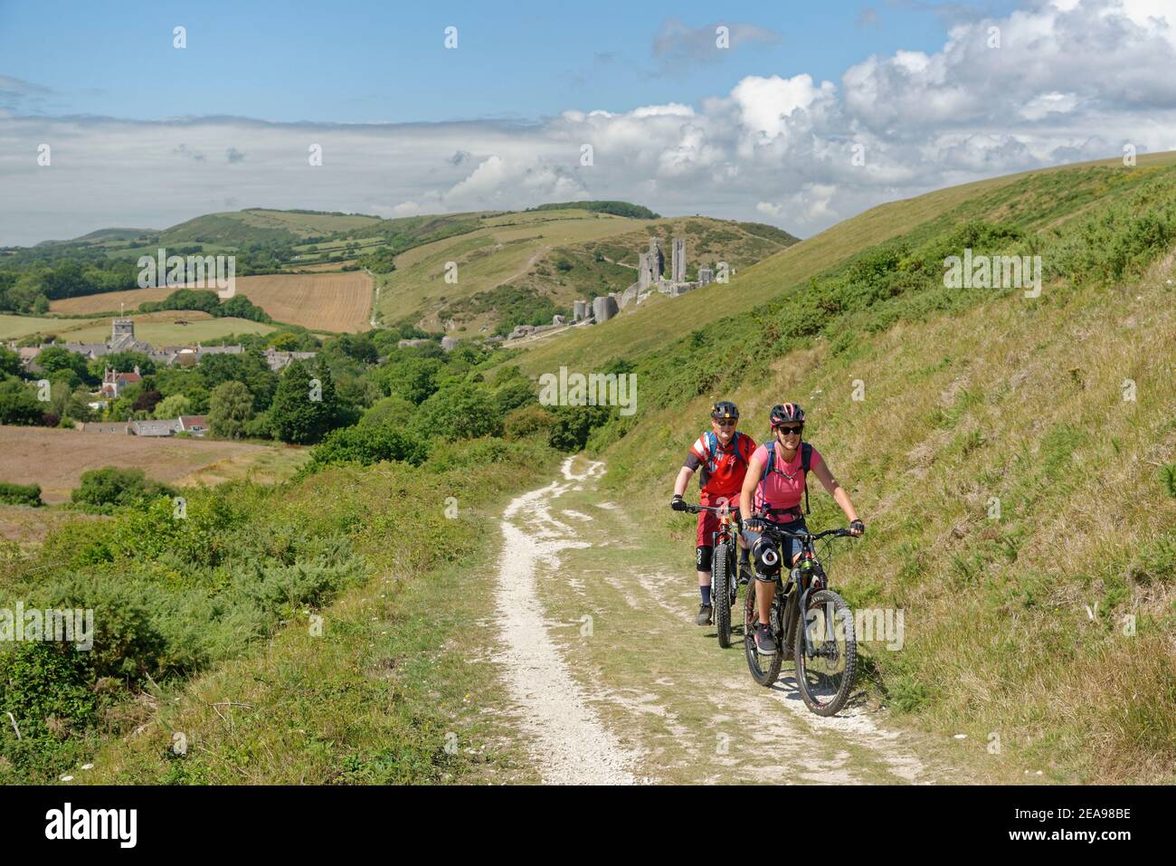 Mountain bikers cycling up the Purbeck Way to Ballard Down from Corfe Castle, Dorset, UK, August 2020. Stock Photo