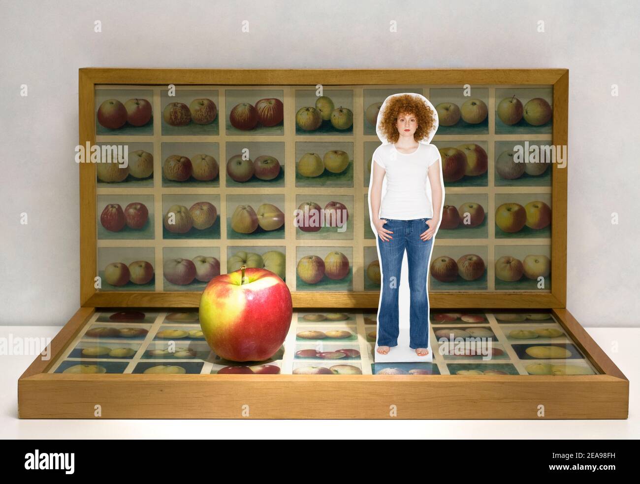 Woman stands next to an apple, background and underground pictures of apple varieties, full length Stock Photo