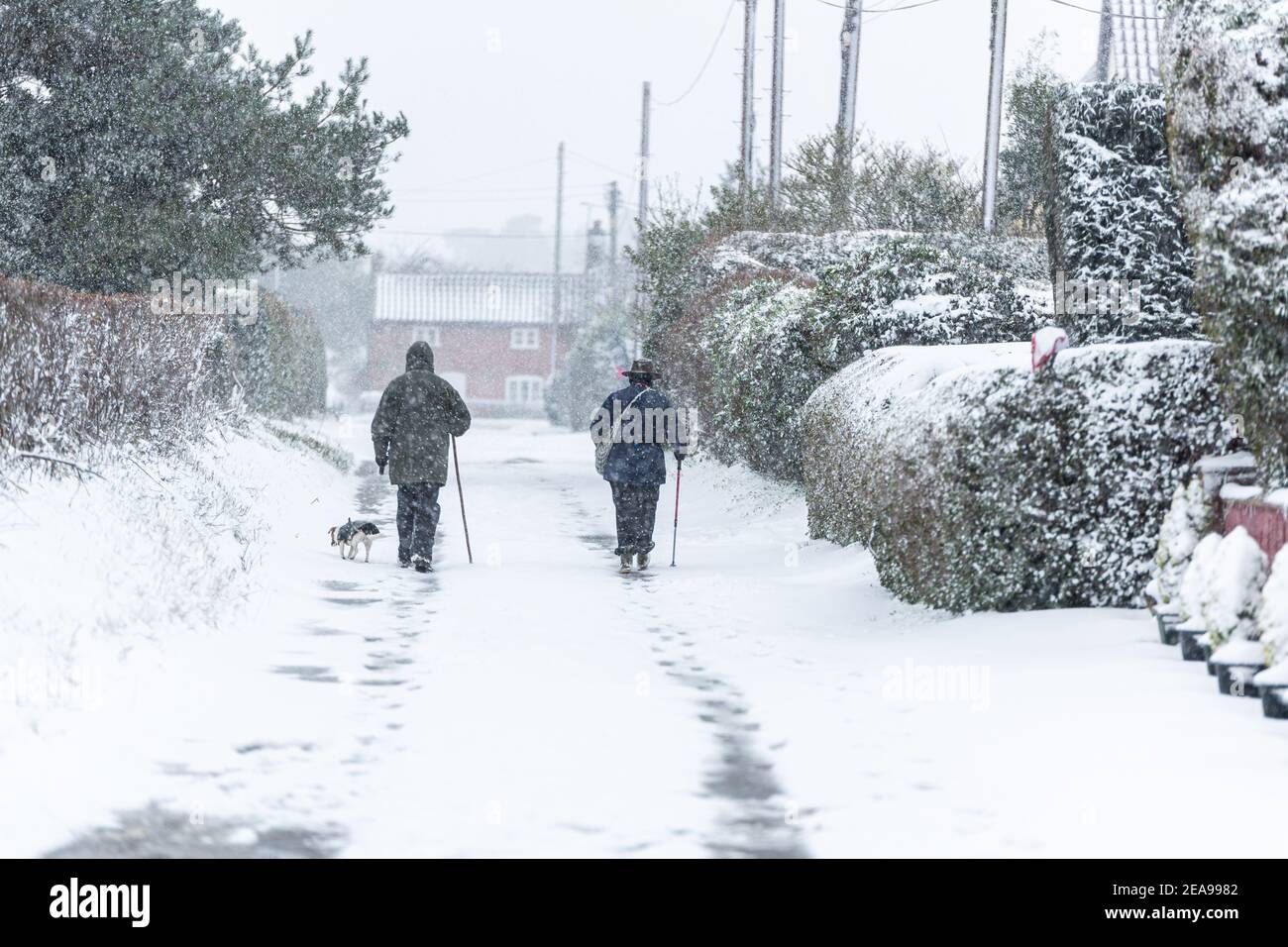 A couple walk their dog during a snowstorm blizzard. Beast from the east 2021. Extreme weather Stock Photo