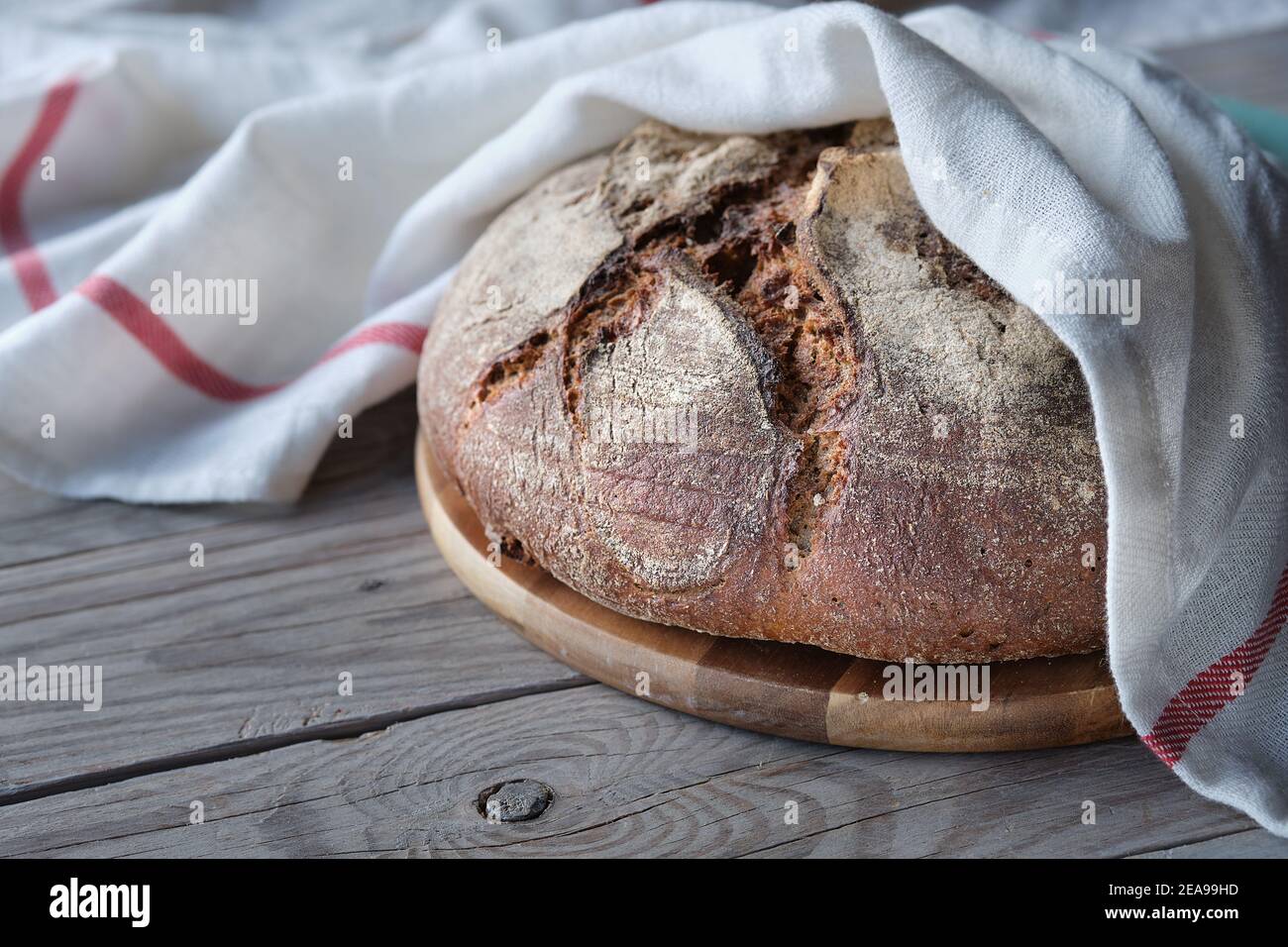 No knead handmade loaf on cutting board on rustic wood with linen towel, spelt ears. German Bauernbrot means Farmers Bread in English. Wholemeal rye Stock Photo