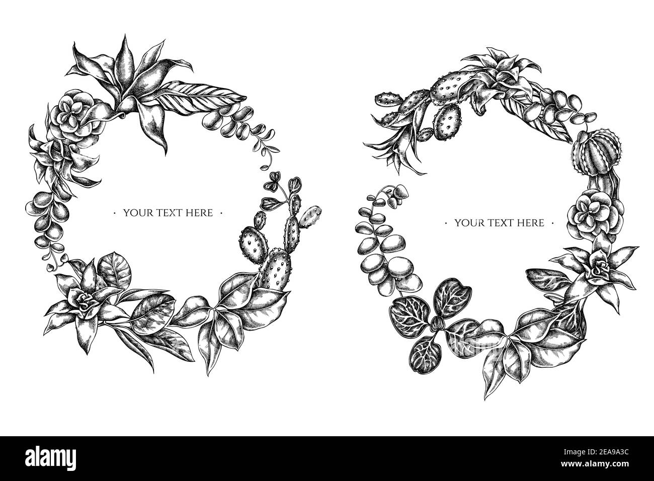 Floral Wreath of black and white ficus, iresine, kalanchoe, calathea, guzmania, cactus Stock Vector