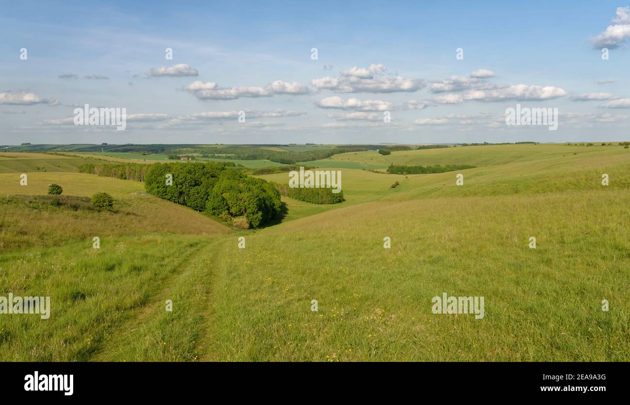 Chalk grassland slopes and pockets of woodland, Great Cheverell Hill SSSI, Salisbury Plain, Wiltshire, UK, May 2020. Stock Photo