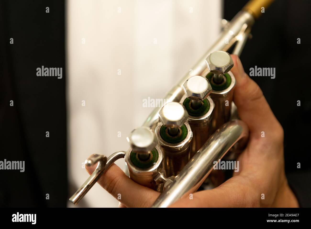 Trumpet, piccolo trumpet, detail, music Stock Photo Alamy