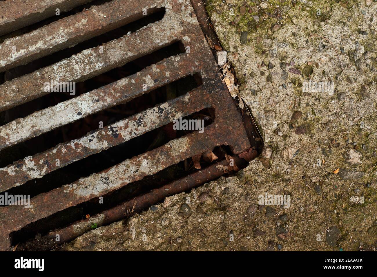 Top View Of Aged Rusted Corroded Drain Cover In Moss Concrete Slab Suburban Poverty Concept With Copy Space For Text On The Right Stock Photo Alamy