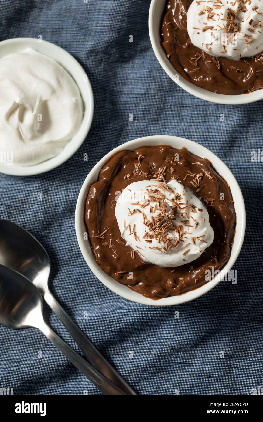 Sweet Homemade Chocolate Pudding in a Bowl with Whipped Cream Stock