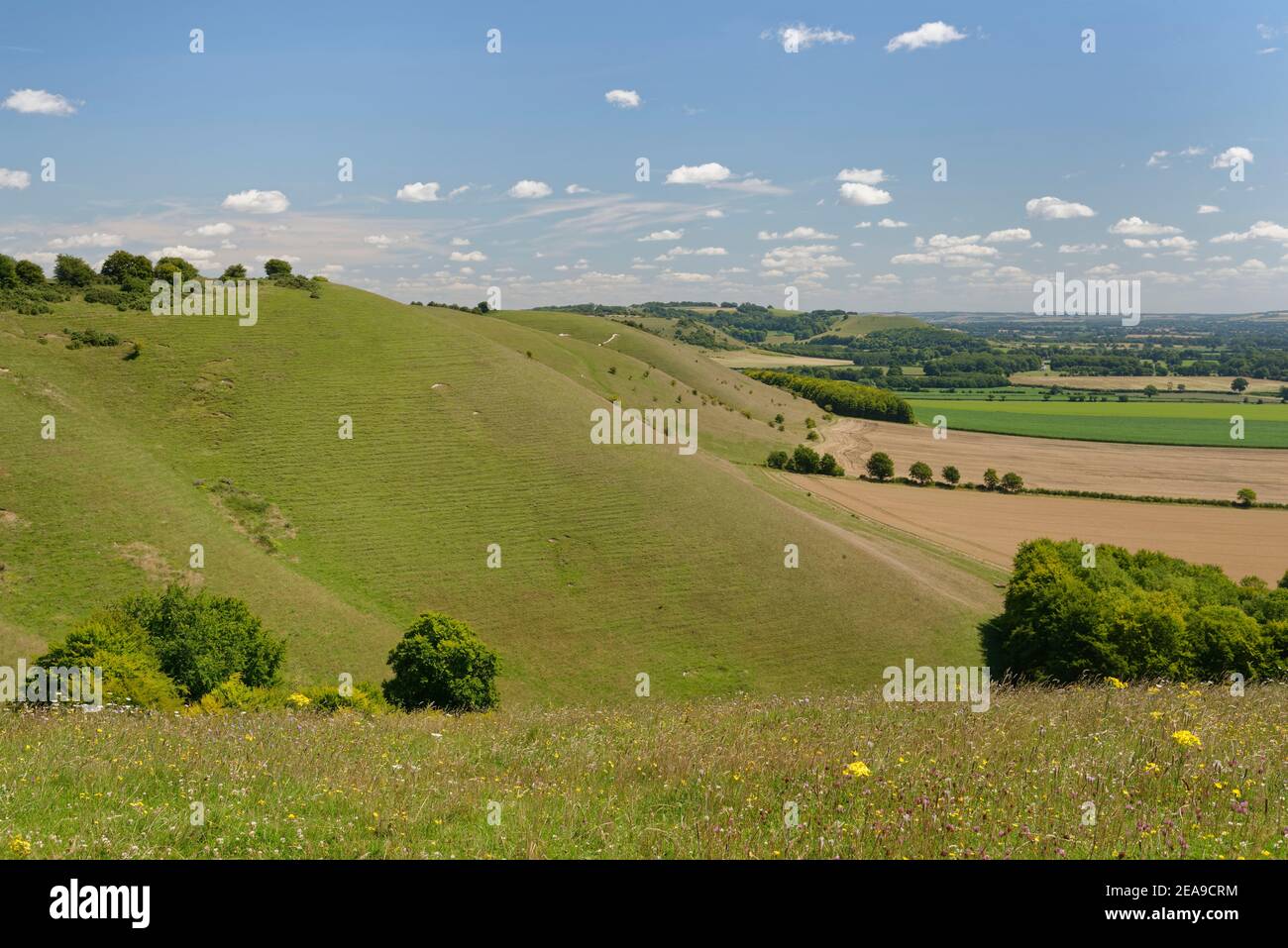 Pewsey Downs and the Vale of Pewsey, viewed from Knap Hill in summer, near Devizes, Wiltshire, UK, July. Stock Photo