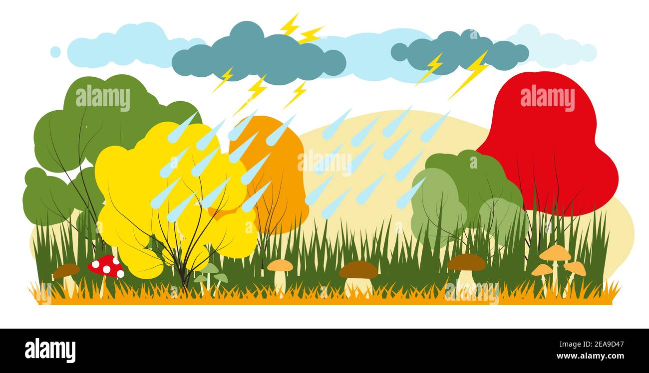 Vector illustration in trendy flat simple style. rainy colored forest autumn landscape with mushrooms. Stock Vector
