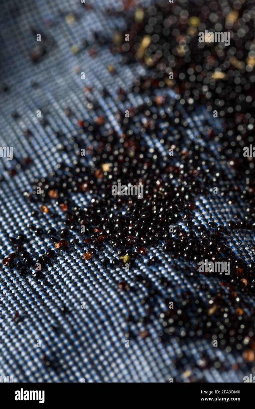 Black grains hi-res stock photography and images - Alamy