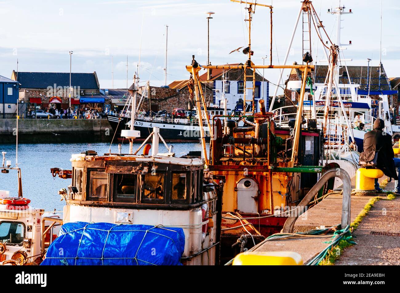 Fishing boats docked at the pier, Howth Fishery Harbour. Howth, County