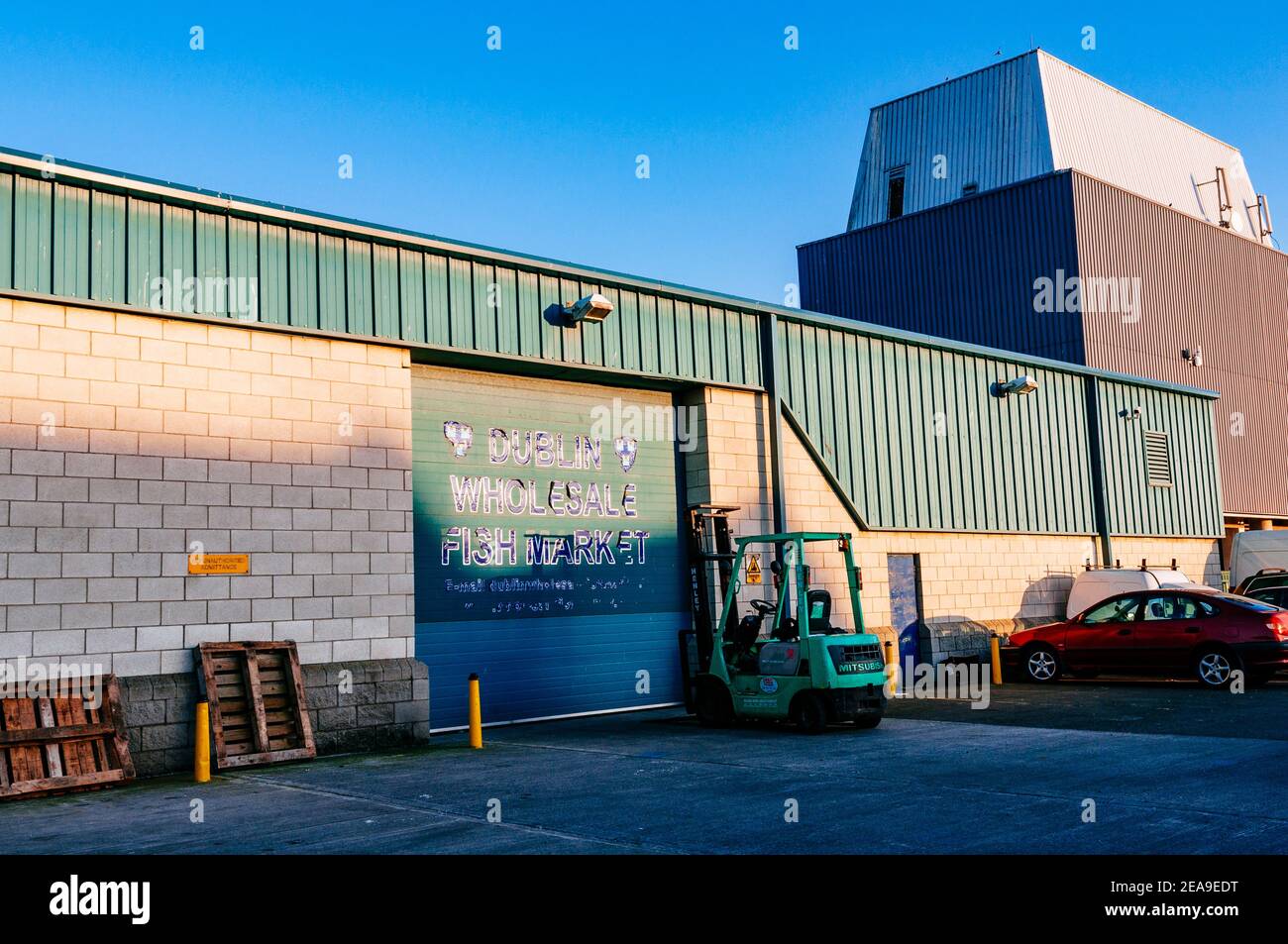 Dublin wholesale fisch market. Howth Fishery Harbour. Howth, County