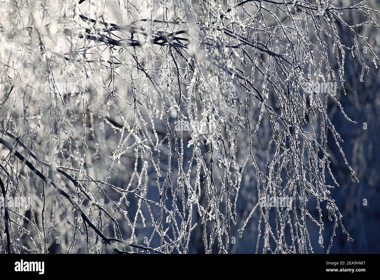 Winter in Lithuania Stock Photo - Alamy