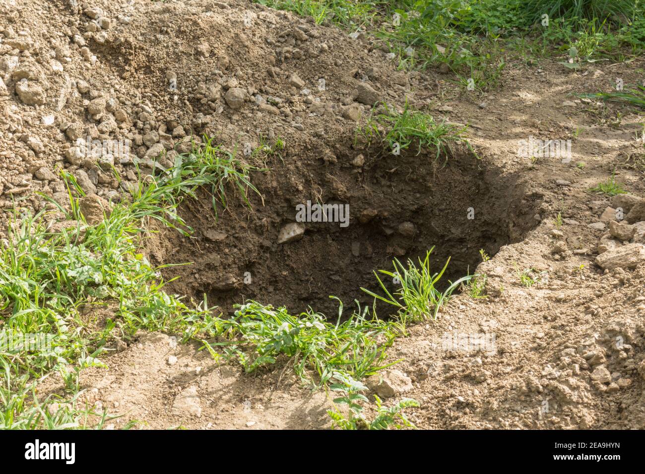 Deep hole in the ground in a garden. Stock Photo