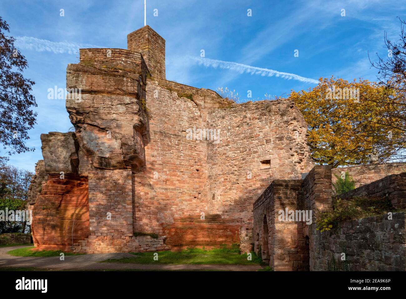 Castle ruin Nanstein near Landstuhl, Palatinate Bergland, Palatinate Forest, Rhineland-Palatinate, Rhineland-Palatinate, Germany Stock Photo