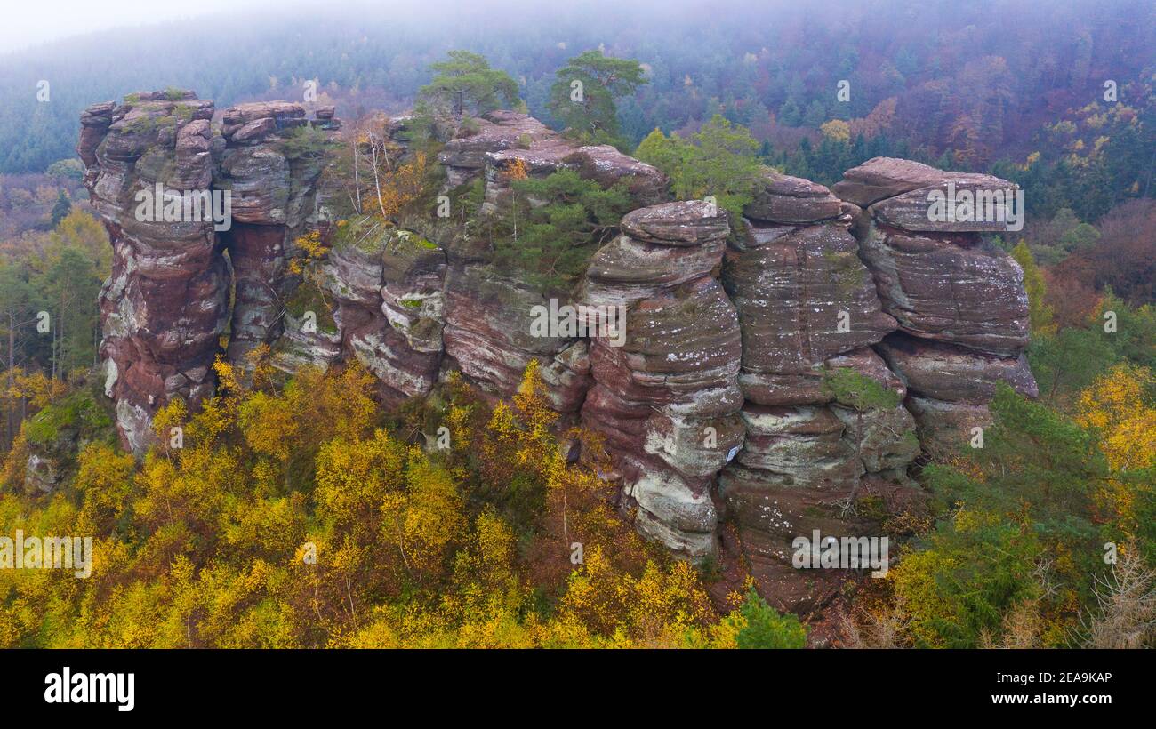 Altfels in the Pinschbach valley near Kastel-Staadt, Saar Valley, Rhineland-Palatinate, Germany Stock Photo