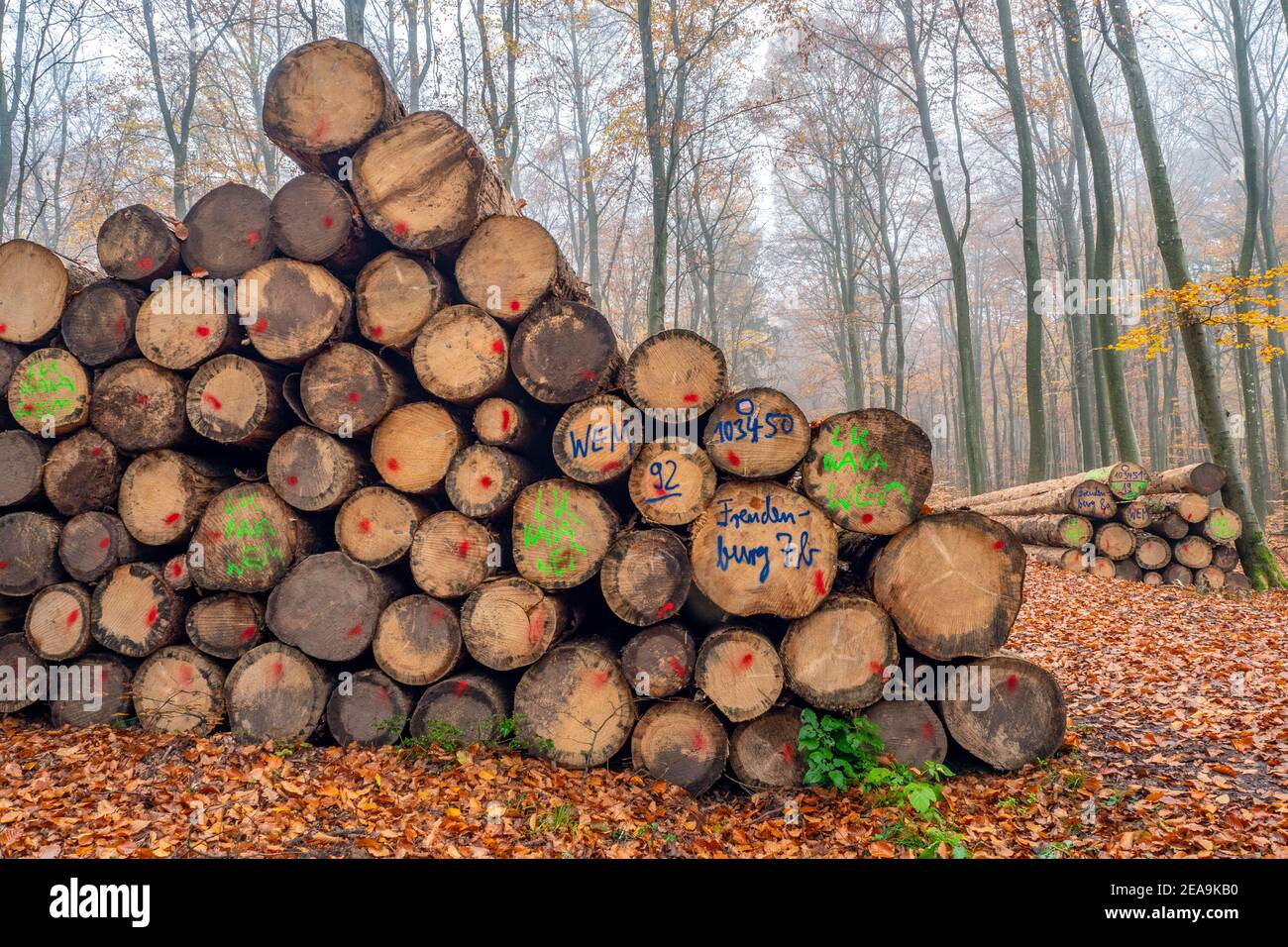 Freudenburg hi-res stock photography and images - Alamy