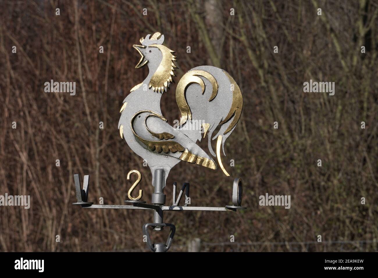 Closeup shot of a metallic rooster spinne Stock Photo