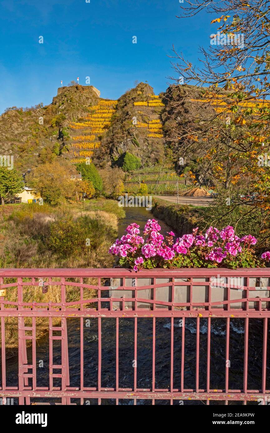 The Saffenburg in the Ahr valley near Mayschoss, Rhineland-Palatinate, Germany Stock Photo