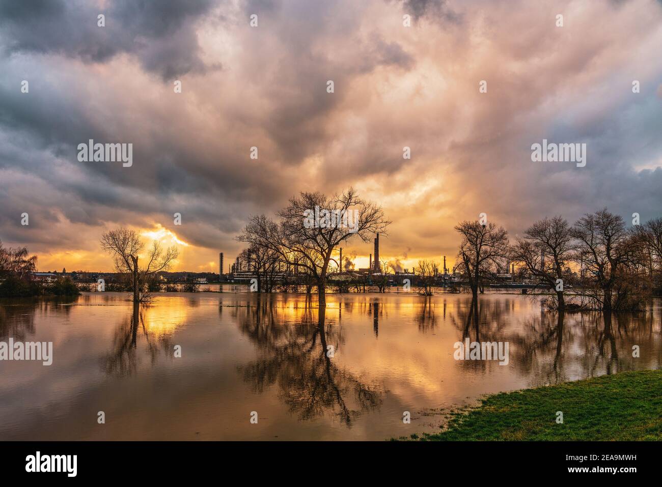 Flood On The Rhine Germany Chempark Dormagen In The Background Stock Photo Alamy